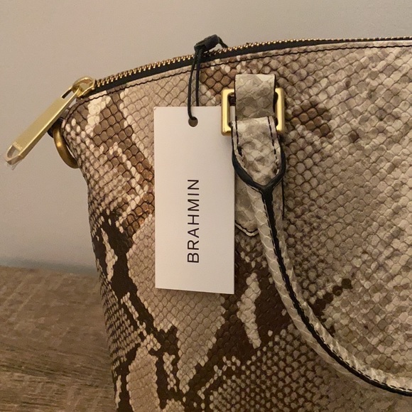 Welcome to ✨ LexiRylie ✨ - Picture 5 of 10